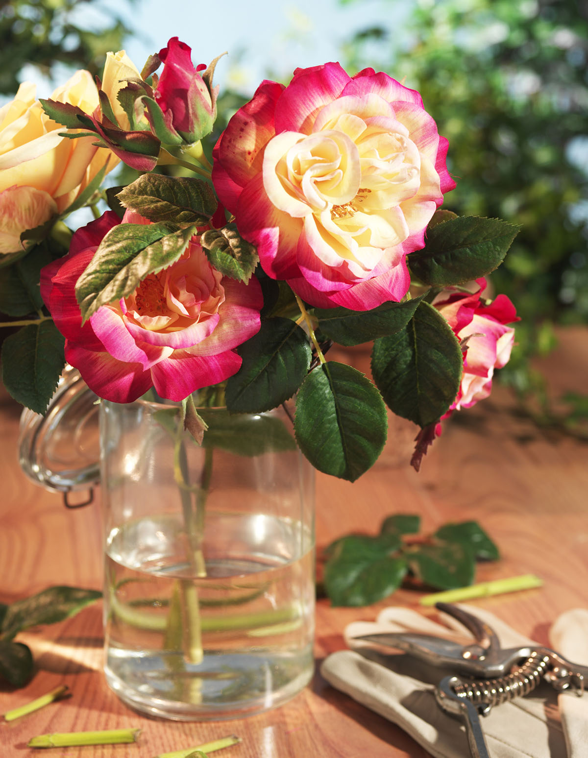 Beautiful naturally unperfect roses in a glass vase on a rustic table, complete with garden clippers and gloves.
