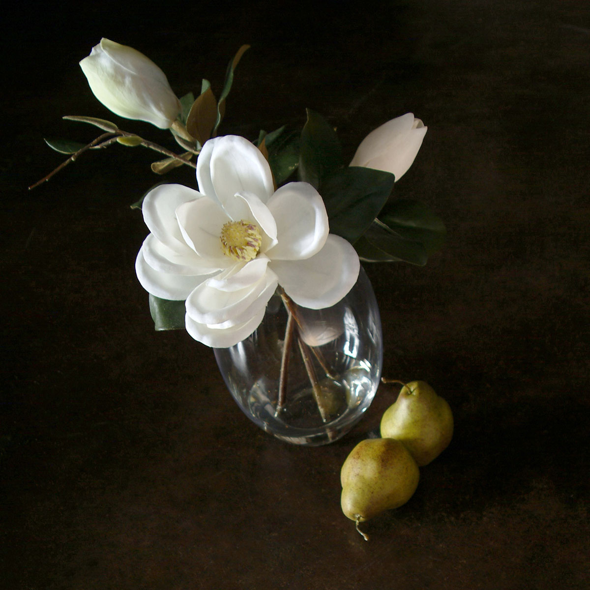 Dramatic display of a magnolia flower in a glass vase against a dark backdrop with pears.